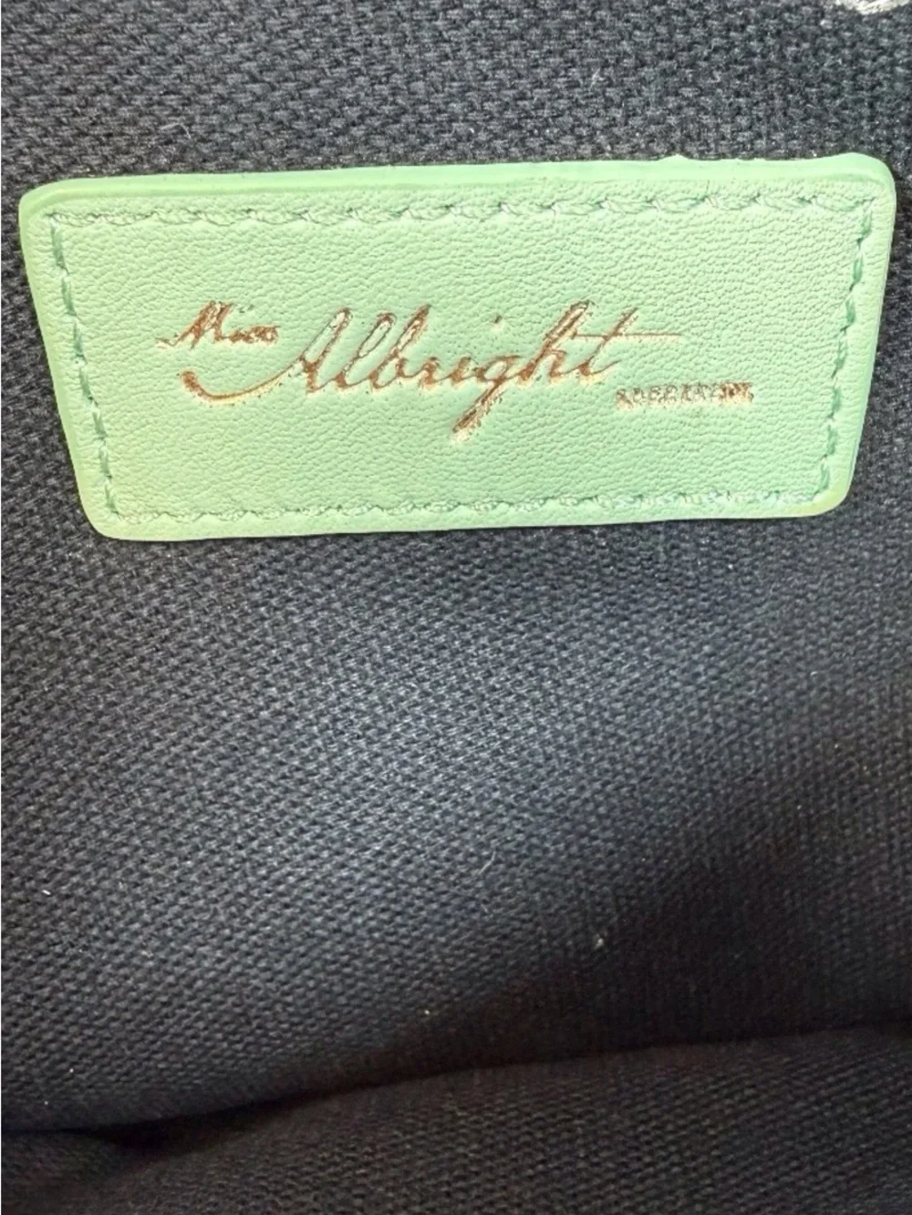 Anthropologie, Miss Albright Collection - Mint Virgo Appliqué Wristlet/Clutch